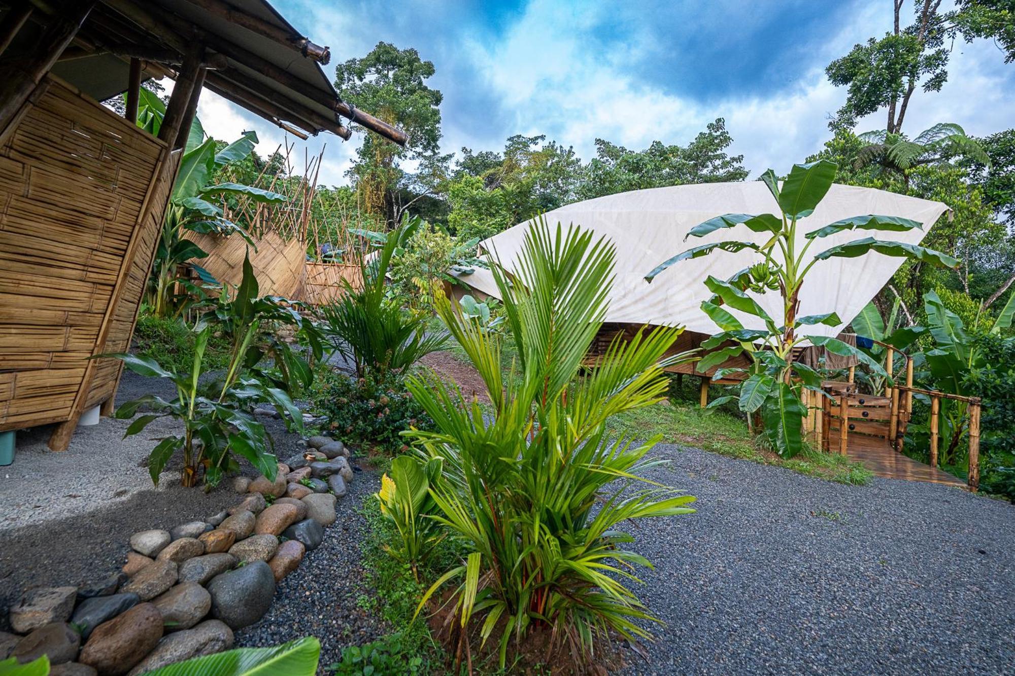 Jungle Gayborhood Hotel And Retreat Center San Luis  Exterior photo